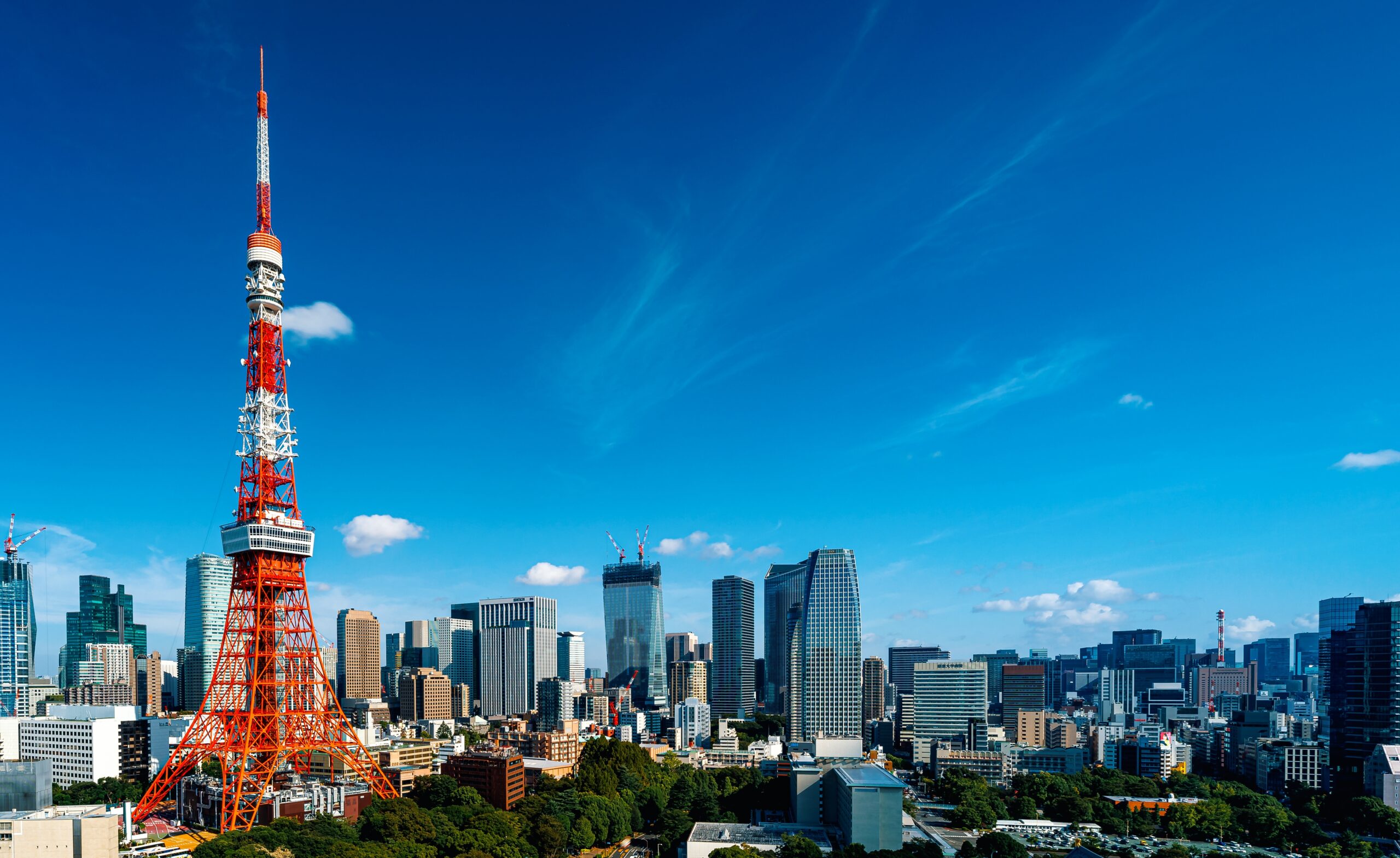 港区の魅力